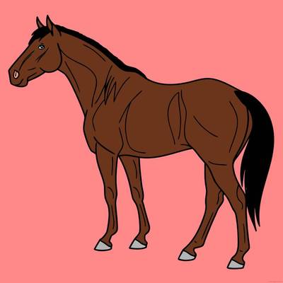 Ausgemalte Version: Stehendes Quarter Horse