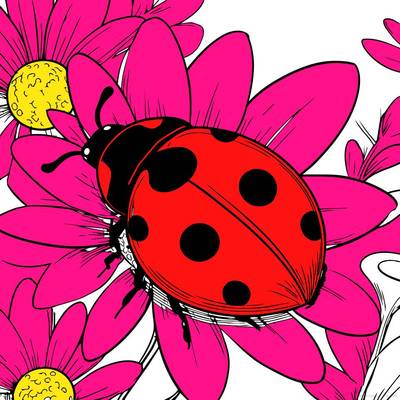 Idé: Mariehøne på blomster – færdiggjort af et community-medlem