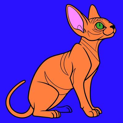 Fargelagt versjon: Enkel sphynx-katt sett fra siden