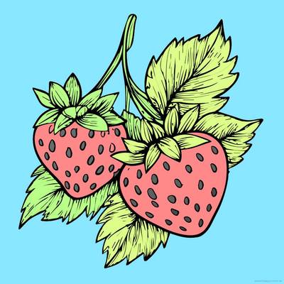 Version coloriée : Deux fraises