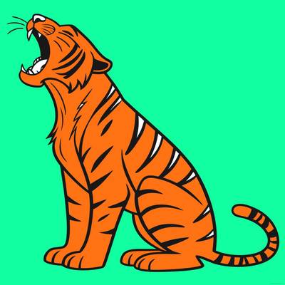 Colored version: Detailed roaring tiger front view