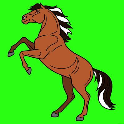 Ausgemalte Version: Steigendes Wildpferd als Ausmalbild