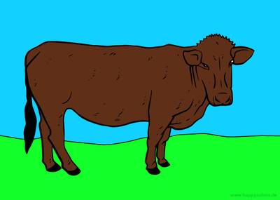 Colored version: Domestic cattle