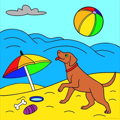 Versão colorida: Cachorro na praia com bola