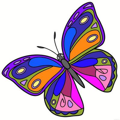 Ausgemalte Version: Symmetrischer Schmetterling als Linienbild