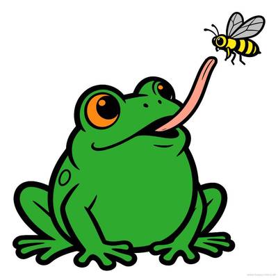 Ausgemalte Version: Frosch in Nahaufnahme mit Fliege
