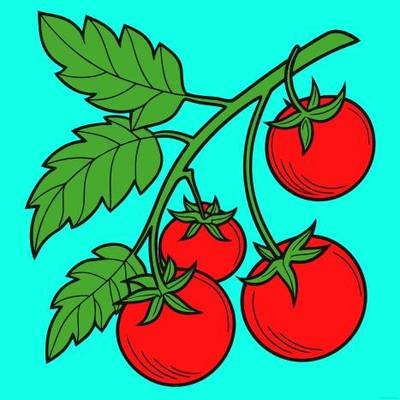Versione colorata: Grappolo di pomodori sul ramo