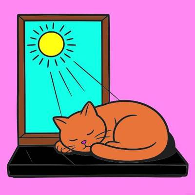 Ausgemalte Version: Schlafende Katze am sonnigen Fenster