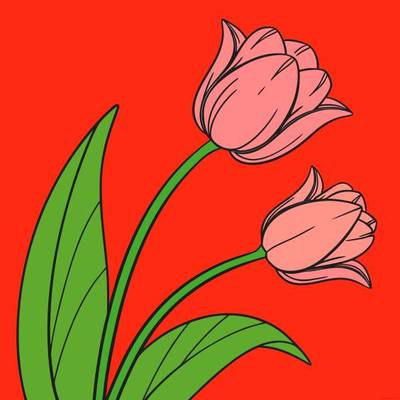 Versão colorida: Par de botões de tulipa fechados