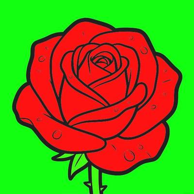 Ausgemalte Version: Einzelne Rose mit Morgentautropfen