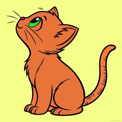 Versão colorida: Gato sentado olhando para cima