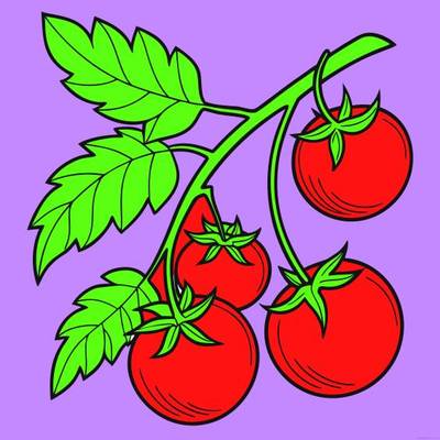 Ausgemalte Version: Vier Tomaten an der Rispe
