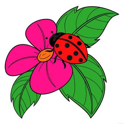 Versão colorida: Joaninha sobre uma flor