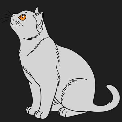 Versione colorata: Gatto British Shorthair semplice