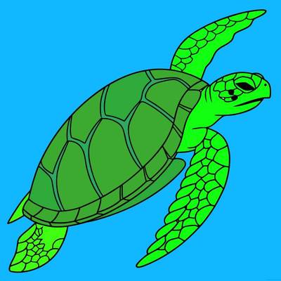 Colored version: Hawksbill sea turtle swimming
