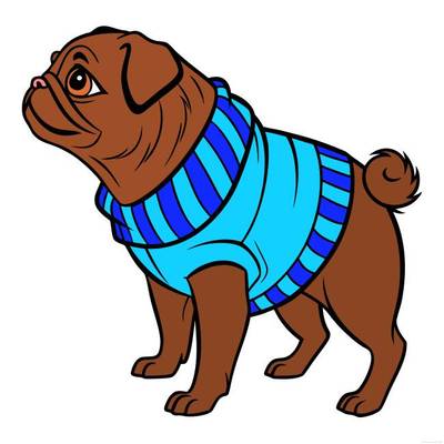 Versão colorida: Pug de suéter olhando para cima