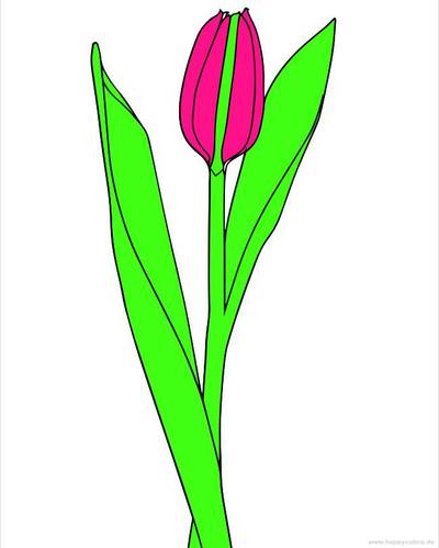 Versão colorida: Tulipa com caule para colorir
