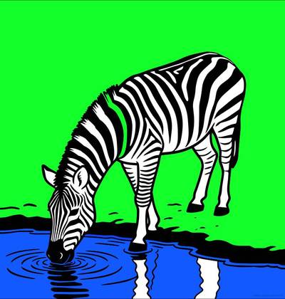 Wersja pokolorowana: Zebra pijąca wodę przy wodopoju