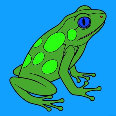 Versione colorata: Rana freccia velenosa maculata