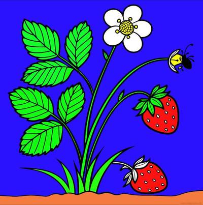 Ingekleurde versie: Aardbeienplant met vrucht en bloem