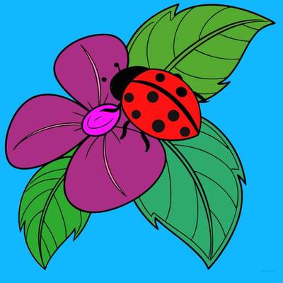 Versão colorida: Joaninha sobre uma flor