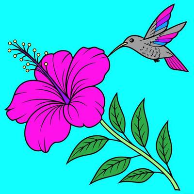 Väritetty versio: Hibiskusoksa ja kolibri