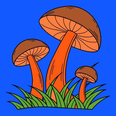 Ingekleurde versie: Eenvoudige paddenstoelen in het gras