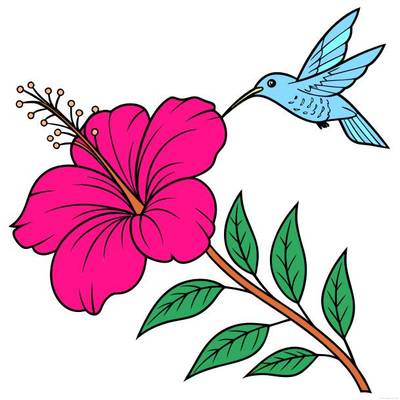 Väritetty versio: Hibiskusoksa ja kolibri