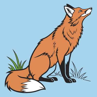 Version coloriée : Renard roux réaliste assis