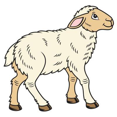 Ausgemalte Version: Schwarzes Schaf in Seitenansicht