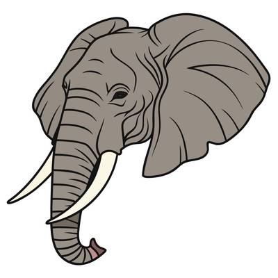 Ausgemalte Version: Detailliertes Elefantenkopf-Porträt