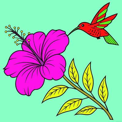 Version coloriée : Branche d’hibiscus avec colibri