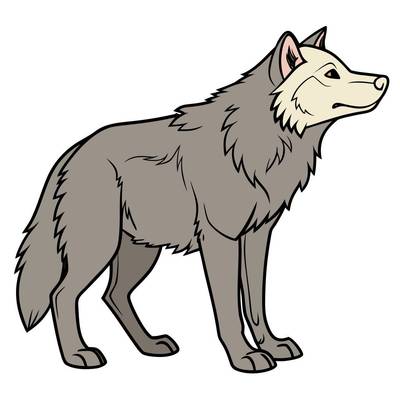 Colored version: Detailed standing husky wolf hybrid