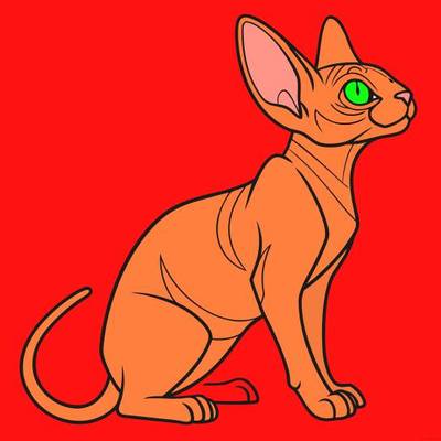 Ausgemalte Version: Sphynx-Katze in Seitenansicht