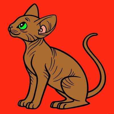 Ausgemalte Version: Detailreiche Sphynx-Katze mit Falten