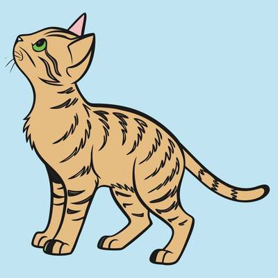 Ausgemalte Version: Detaillierte Bengalkatze blickt nach oben