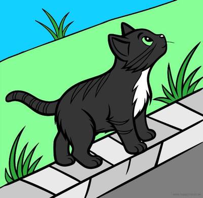 Ausgemalte Version: Polydaktyle Katze auf dem Gartenweg