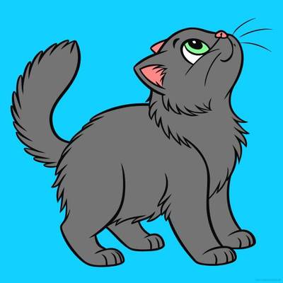Ausgemalte Version: Perserkatze in Vorderansicht