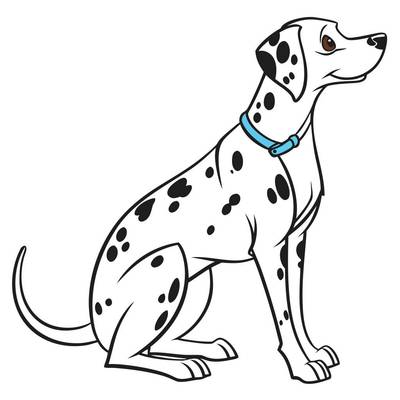 Colored version: Sitting adult Dalmatian with collar