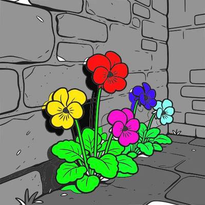 Version coloriée : Violettes près d’un vieux mur en pierre