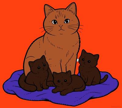 Ausgemalte Version: Katzenmutter mit drei Kätzchen auf einer Decke