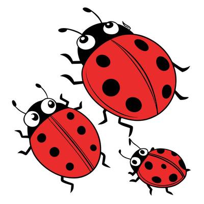 Colored version: Cute cartoon ladybug family