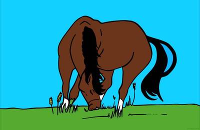 Ausgemalte Version: Grasendes Pferd