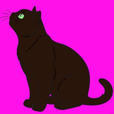 Ausgemalte Version: Einfache Britisch-Kurzhaar-Katze