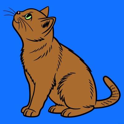 Ausgemalte Version: Detailreiche Britisch-Kurzhaar-Katze
