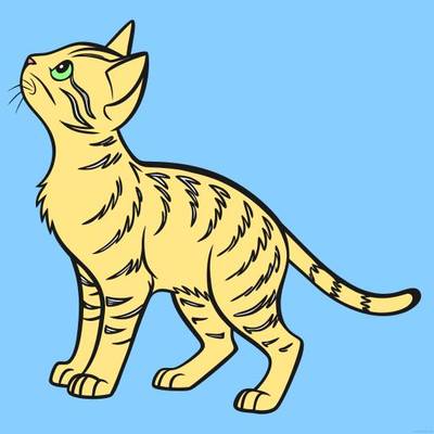 Ausgemalte Version: Detaillierte Bengalkatze blickt nach oben