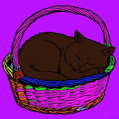 Ausgemalte Version: Katze in einem gemütlichen Korb