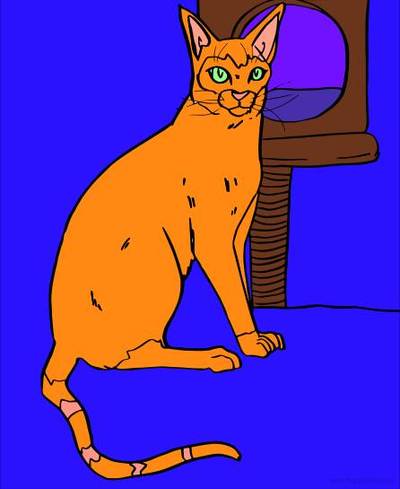 Ausgemalte Version: Siamkatze