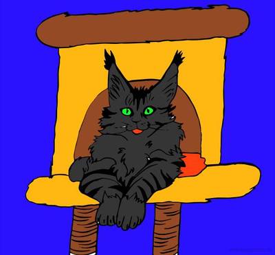 Ausgemalte Version: Maine-Coon