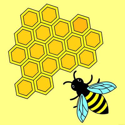 Ausgemalte Version: Honigwabe mit fliegender Biene